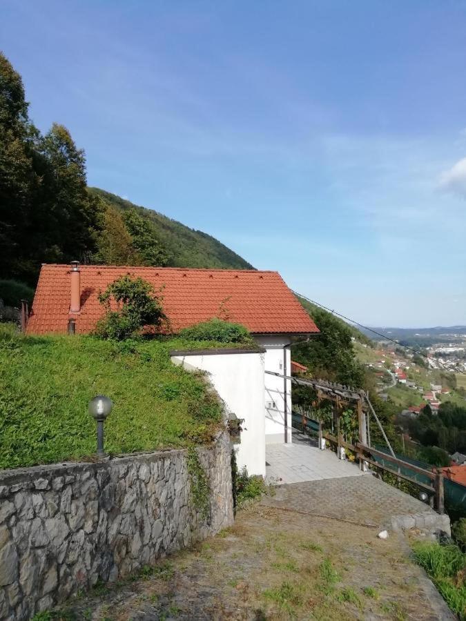 Wine House, Zidanica Gruden Villa Novo Mesto Exteriör bild