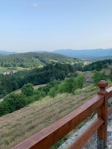 Wine House, Zidanica Gruden Villa Novo Mesto Exteriör bild